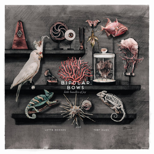 希腊毛茸茸的逼射精
